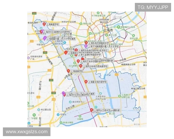 上海羽毛球队运营揭秘：深度解析背后的管理与发展策略