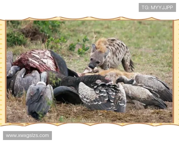 体型庞大的足球明星们如何在赛场上展现非凡的技艺与魅力