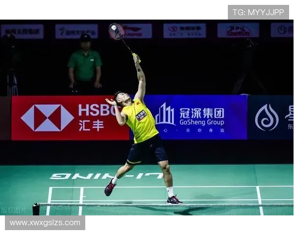 全国锦标赛回顾：上海羽毛球队技术实力的全面分析与展望