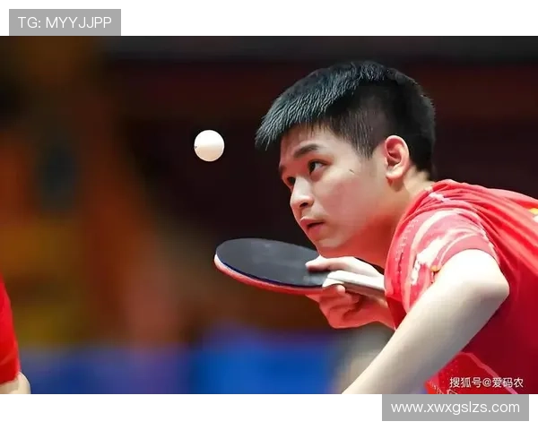 武汉乒乓球队拼搏历程揭秘努力与荣耀交织的杯赛故事